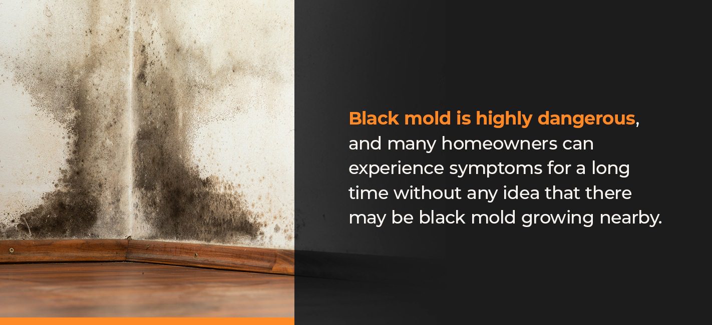 What is the Best Mask to Protect Against Mold PPE Blog